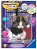 Ravensburger Verlag GmbH Nonbook - Ravensburger Malen nach Zahlen 28561 - Kuschelndes Kätzchen - Ki