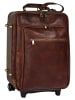 piké Reise Trolley PERUGIA in braun