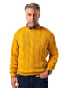 Boston Park Pullover in curry