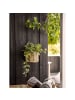 ebuy24 Korb Nina Natur 23 x 37 cm