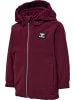 Hummel Reißverschluss Jacke Hmlmars Lebensstil Jungen in WINDSOR WINE