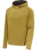 Hummel Hummel Hoodie Hmlcima Multisport Herren in ANTIQUE GOLD