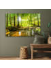 OnlyWow Acrylglasbild Waldlicht
