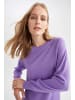 DeFacto Strickpullover RELAX FIT in Lila
