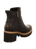 PANAMA JACK Stiefelette in schwarz