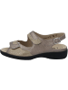 Solidus Sandalen für Damen in taupe