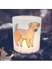 Mr. & Mrs. Panda Glas Windlicht Border Terrier Moment ohne Spruch in Transparent