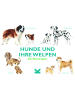 Laurence King Verlag Hunde und ihre Welpen | Ein Memo-Spiel