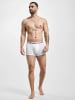 TOMMY JEANS TOMMY JEANS Boxershorts in white