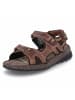 Camel Active Sandalen in Braun