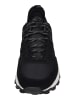 Timberland Sneaker Low Treeline in schwarz