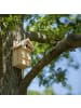 relaxdays 2 x Nistkasten in Natur - (B)16 x (H)25 x (T)16 cm