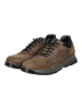 Igi&Co Sneaker in Fango