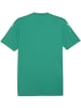 Puma Sportshirt "TeamGLORY Jersey" in Grün