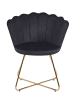 SalesFever Polsterstuhl 2er-Set im Muschel‑Design Samt mit goldfarbenem Gestell in Schwarz