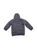 Champion Übergangsjacke Outdoor Hooded Jacket in Grau