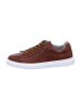 Pius Gabor Sneaker Low in Braun