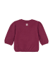 Noppies Sweater Tullahoma in Beaujolais