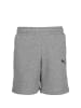 Puma Shorts TeamGOAL 23 Casuals in grau