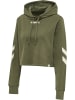 Hummel Hoodie in Grün