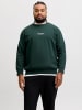 JACK & JONES PLUS Sweatshirt in Scarab