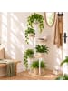 relaxdays Pflanzenständer in Natur/ Weiß - (B)58 x (H)118,5 x (T)58 cm