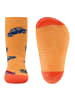 ewers Stoppersocken Autos in .physalis