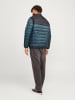 JACK & JONES PLUS Steppjacke in Magical Forest