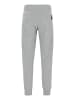 Replay Jogginghose Cotton Fleece in grau