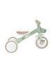GLOBBER LEARNING TRIKE 3in1 PLUS ECO Dreirad und Laufrad in salbei grün