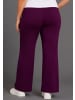 Kangaroos Jazzpants in Lila