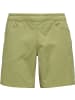 Black Diamond M NOTISHORTS in Grün