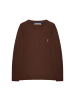 Polo Club Pullover in Braun