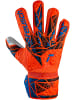 Reusch Torwarthandschuh Attrakt Starter Solid Junior in 2210 hyper orng/elec blue