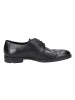 LLOYD Schnürschuhe Farley in BLACK