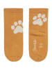 Sterntaler Socken 3er-Pack Hund in sand