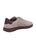 Gant Sneaker in taupe