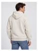 Pepe Jeans Kapuzenpullover in bunt