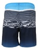 Cruz Badeshorts Bryan in Print 3472