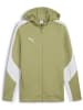 Puma Jacke "TeamEVOSTRIPE Hooded Jacket" in Grün