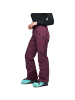 Black Diamond Hose W RECON INSULATED PANTS in Bordeaux