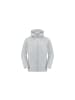 Jack Wolfskin Funktionsjacke ROBURY 2L JKT M in Grau