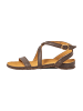 El Naturalista Sandalen braun