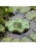 MARELIDA Teichdeko Schwimmfrosch Dekofigur Frosch für Teich Wasserschale 7,8cm