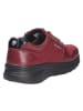 Joya Schnürschuh DYNAMO ZIP W DARK RED II in rot