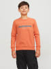 JACK & JONES Junior Sweatshirt in ginger