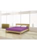 Mr.Sandman Spannbetttuch Elastan classic 140-160 x 200-220 cm in dunkel magenta