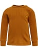Hummel Hummel T-Shirt Hmlsami Kinder in GLAZED GINGER