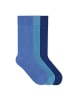 von Jungfeld Classic Socken-Set Signature Innenbund in Aqua