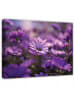 WALLARENA Leinwandbild Blumen in Lila